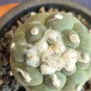 종명농장 이미지