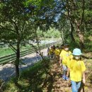 봉의초병설유치원 이미지