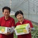 이기순농장 이미지