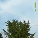 영생 농장 이미지