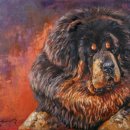 아트펫 갤러리 이미지