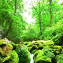 형제목장 이미지