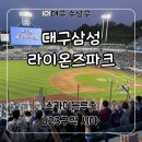 팀스카이 | 대구삼성라이온즈파크 스카이블루존 U23구역 6열 시야 뷰, 팀스토어 어센틱 유니폼, 마킹 가격 후기