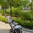 유니러브 COVA AI 유모차 통풍시트 추천, 여름 육아 필수템 후기