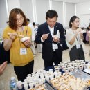 새터초교 이미지