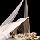 (주)원트라 이미지