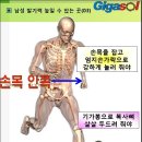 반듯하게 내려 놓고 물총을 쏴라~남성 생식기~전립선과 소변기 이미지