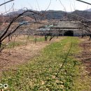 유구농장 이미지