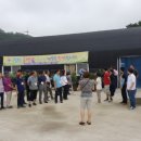 덕진농장 이미지