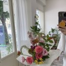 사림동136 이미지