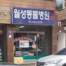 초원동물병원 이미지
