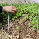 세원농장 이미지