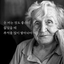 있는그대로 이미지