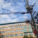 서울은천초등학교 이미지