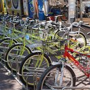 은행나무길 대여소 이미지