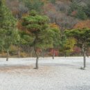 별따기캠핑장 이미지