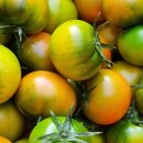 내외로L 이미지