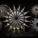 리우스포츠 이미지