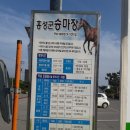 수룡농장 이미지