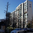 강남-185 이미지