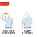필라이브 이미지