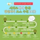 동백유원지 | [코스여행] 제주도 서귀포~중문 당일치기 추천 | 14곳 다녀온 후기