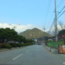 오리숲 | 속세를 떠나기 위해 걷는 속리산 법주사 오리숲길.
