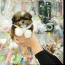 달링하이울산 이미지