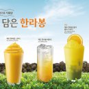 드롭탑제주