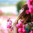 형산강 장미원 이미지