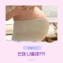완두콩물들다공방 | [임신일기 40화] 기다리는 일 밖에는 할게 없는 38주 임산부 일상.. (봄빛병원 임신 38주검진, 일동...