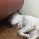 멍커힐 네이버블로그