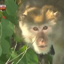 이하영농장 이미지