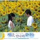아이오씨