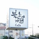 핑크뮬리 이미지