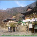 동학사1·2로 이미지