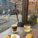 월둔 감자창고 앞 | 평창 카페 | 시골 감성 대관령 카페 반려동물 동반 가능 곤드레라떼 메밀감자소보로 내돈내산 ‘감자창고’