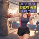 샌드백 | 복싱 다이어트 한달 후기 칼로리 소모량 샌드백 타격 효과