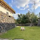 스테이 해온 이미지