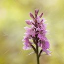 차에 진심인 남자 이미지