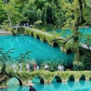 검 단 로 이미지