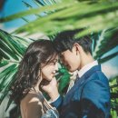 인디무드 이미지