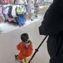 안타코리아 | 마이크로 미니투고 vs 스쿳앤라이드 킥1푸시앤고 비교 구매후기(영통베이비하우스)