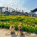 지리산 보더콜리 | 펫츠고 댕댕이랑 봄나들이 구례편