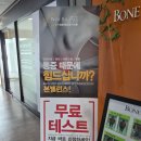 필라테스 (B) | [안양] 범계체형교정 '본밸런스 범계점'에서 자세교정 받아본 후기