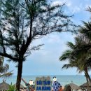 트래블엔조이주 | [다낭 자유여행] 호이안 안방비치 해산물 맛집 더비치하우스 The Beach House 내돈내산 후기