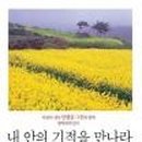내안의기적