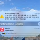 거제 대포항 내만권 감씨 출조(26.01.01)