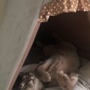 소로3-139 | 귀찮아서 안 올린 지난 가을쯤? 일기..