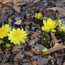 원일초등학교 이미지